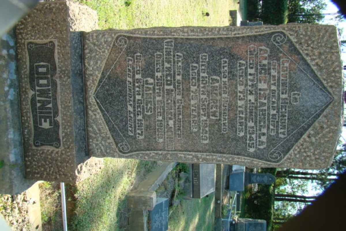 DOWNIE Andrew -1949 &amp; Alice Isabella -1945 :: DOWNIE Winifred Meikeljohn -1909 :: DOWNIE James -1917