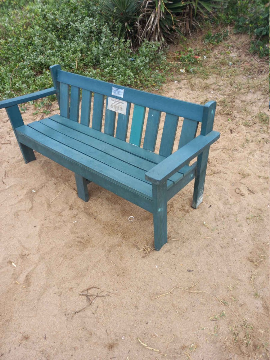 1. Overview / Oorsig