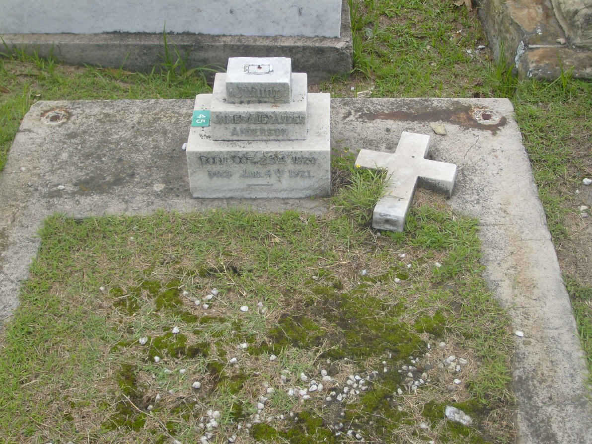 ANDERSON James Alexander 1920-1921