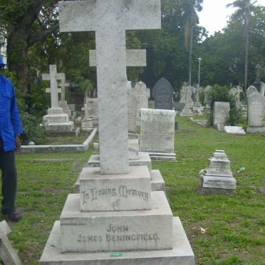 BENINGFIELD John James 1850-1931