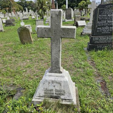 BRIGGS Lillian -1902