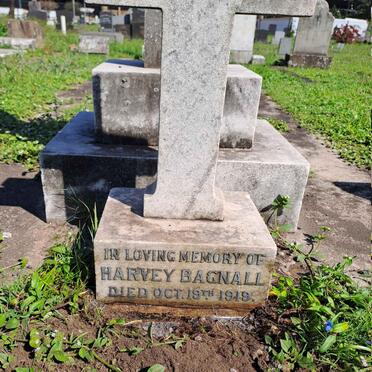 BAGNALL Harvey -1919