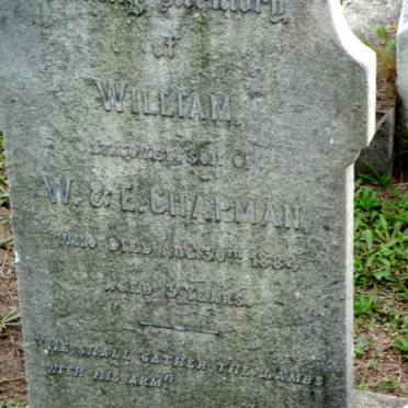 CHAPMAN William -1884