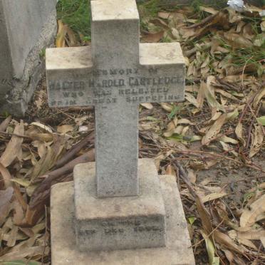 CARTLEDGE Walter Harold -1894