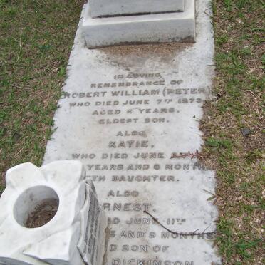 DICKINSON Robert William -1873 :: DICKINSON Katie -1873 :: DICKINSON Ernest -1873