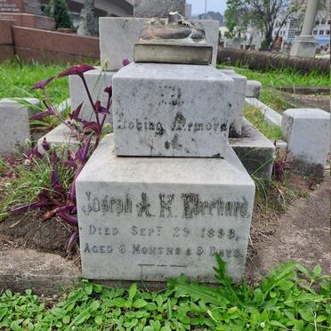 E - Surnames :: Vanne - E