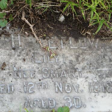 LETLOW L.H. nee SMART -1918