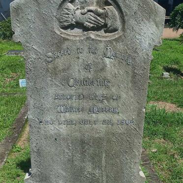 MURRAY Catherine -1904