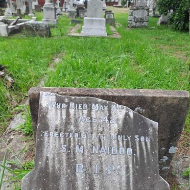 N - Vanne :: Surnames - N