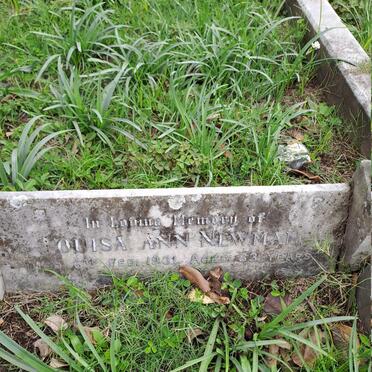 NEWMAN Louisa Ann -1931