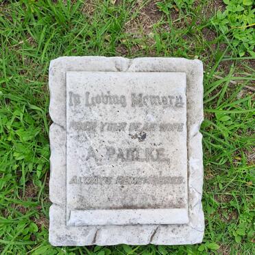 P - Vanne :: Surnames - P