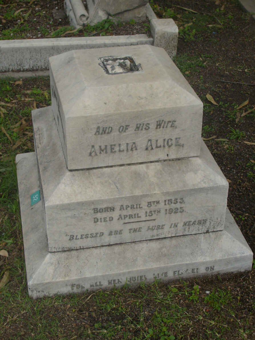 ROBINSON Amelia Alice 1853-1925