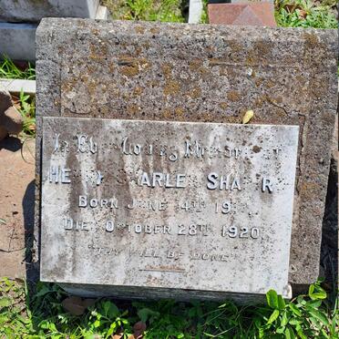 SHAPIRO Henry Charles 1917-1920