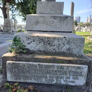 TEES Alexander Hamilton -1952