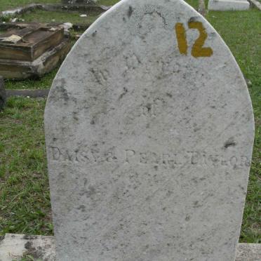 TAYLOR Daisy :: TAYLOR Pearl