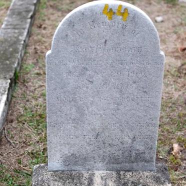 WOODGATE Percy -1900