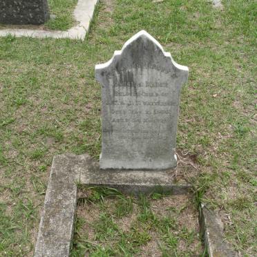 WATTERSON Douglas Bader -1900