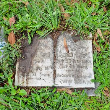 WINDSOR William George -1967 :: ? _2