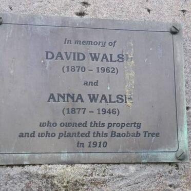 WALSH David 1870-1962 &amp; Anna 1877-1946