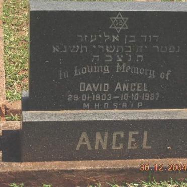 ANGEL David 1903-1987