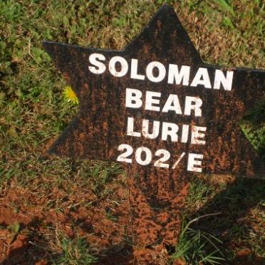 LURIE Soloman Bear