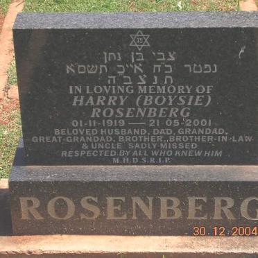ROSENBERG Harry 1919-2001