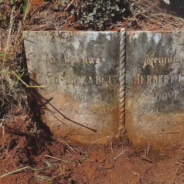 DOVE Herbert Cecil -1913 & Edith Elizabeth -1934