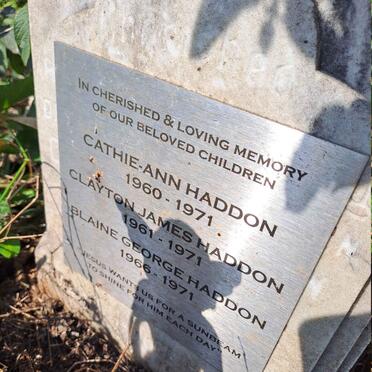 HADDON Cathie-Ann 1960-1971 :: HADDON Clayton James 1961-1971 :: HADDON Blaine George 1966-1971