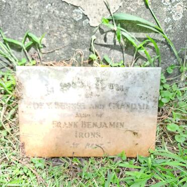 IRONS Frank Benjamin