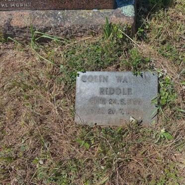RIDDLE Colin Watson 1927-1993