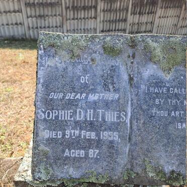 THIES Sophie D.H. -1955