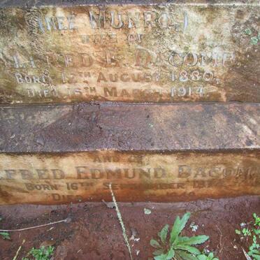 DACOMB Alfred Edmund 1874-1949