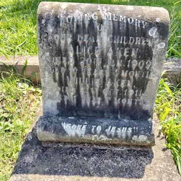 AKEN Willie -1911 :: AKEN Alice -1909