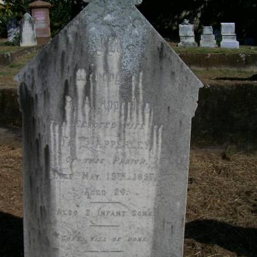 A - Surnames :: Vanne - A