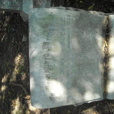 BUCKLE Percy Deryck -1959