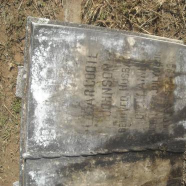 JOHNSON Logarcoote 1896-1981 &amp; Elaine 