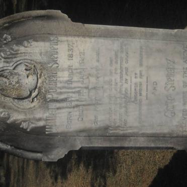 STEVENS William P? 1837-1912 &amp; G? 1852-1930 