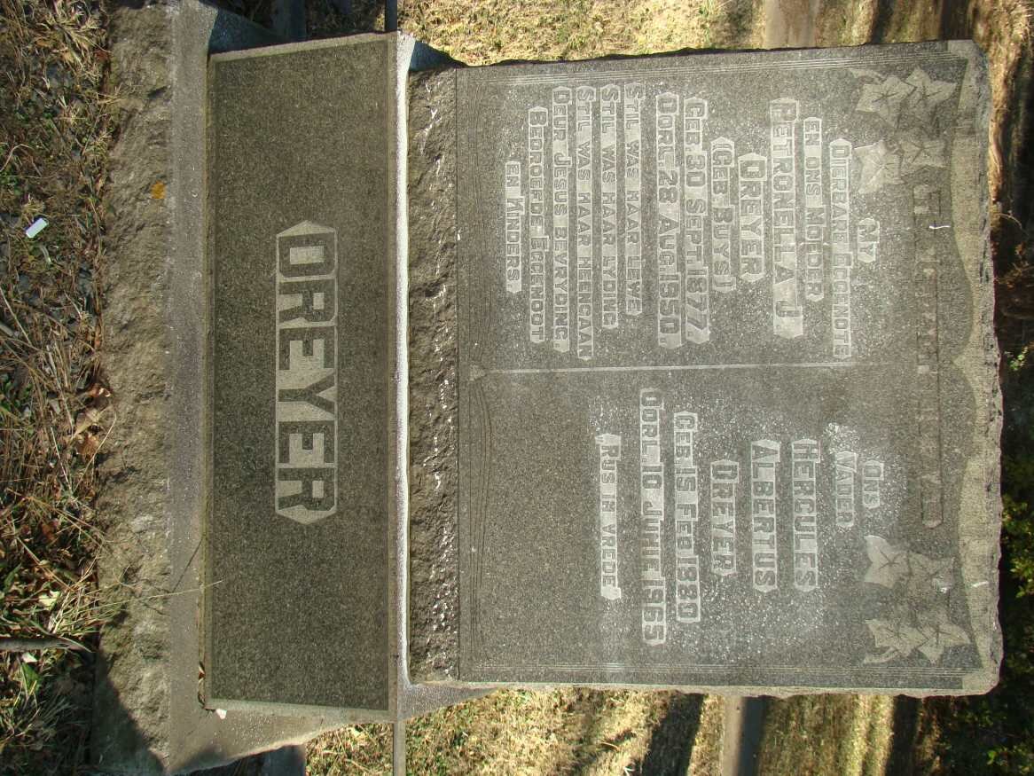 DREYER Hercules Albertus 1880-1965 &amp; Petronella J. BUYS 1877-1950