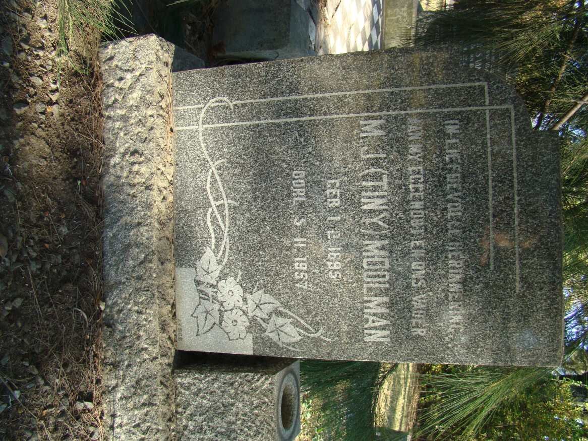 MOOLMAN M.J. 1895-1957