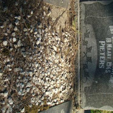 PIETERS 1945-1945