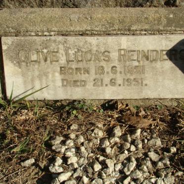 REINDERS Clive Lucas 1951-1951