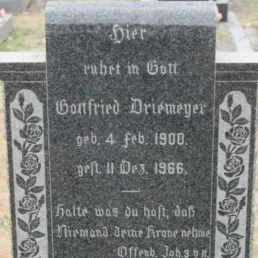 DRIEMEYER Godfried 1900-1966