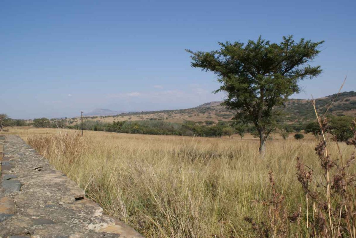 2. Overview / Oorsig