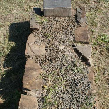 GULDENPFENNIG Johanna