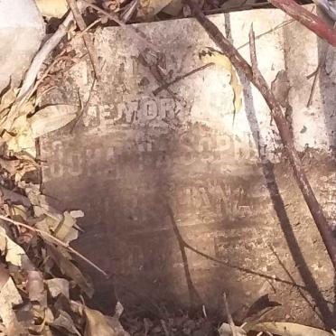 Kwazulu-Natal, ESTCOURT district, Frere, Plessis Laager 1331, farm cemetery