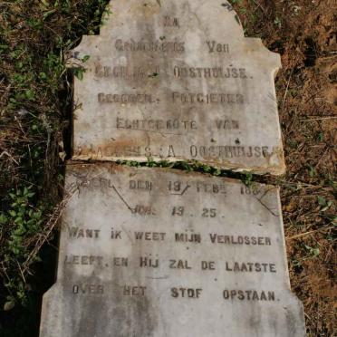 OOSTHUIJSE Cecilia J. nee POTGIETER -1894