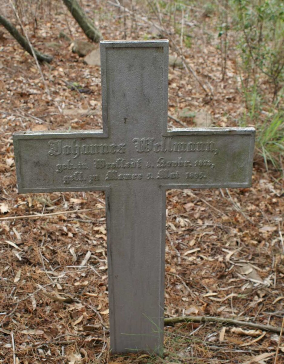 WELLMANN Johannes 1878-1886