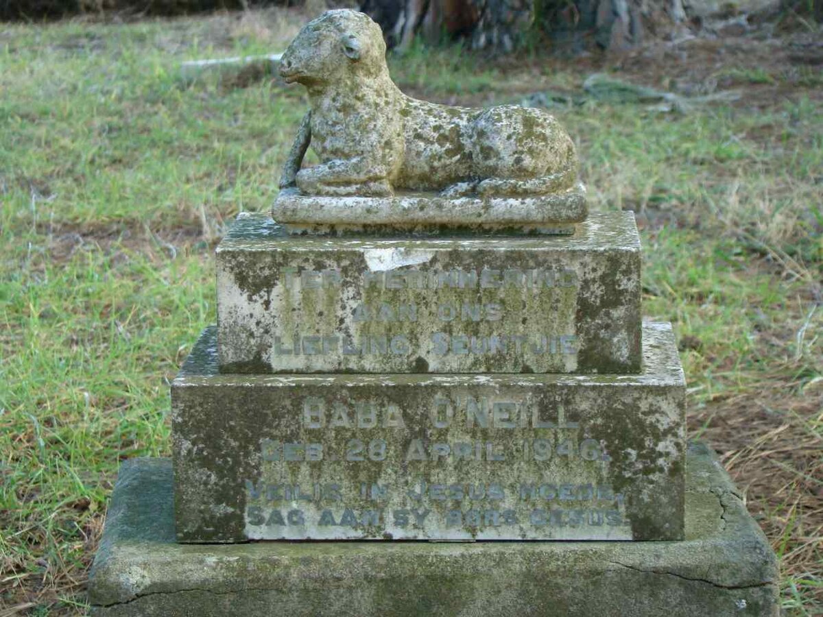 O'NEILL Baby 1946-1946