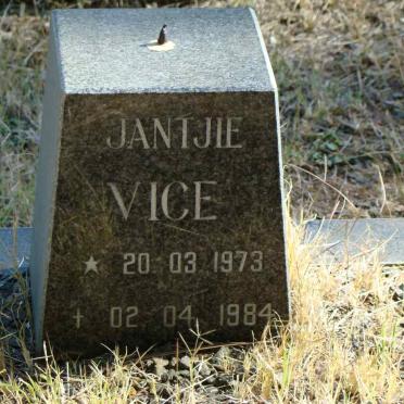 VICE Jantjie 1973-1984