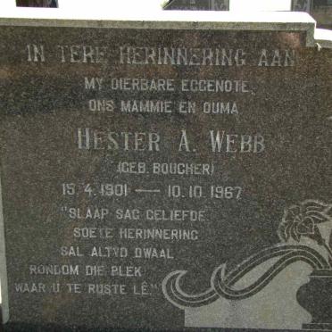 W - Surnames :: Vanne - W